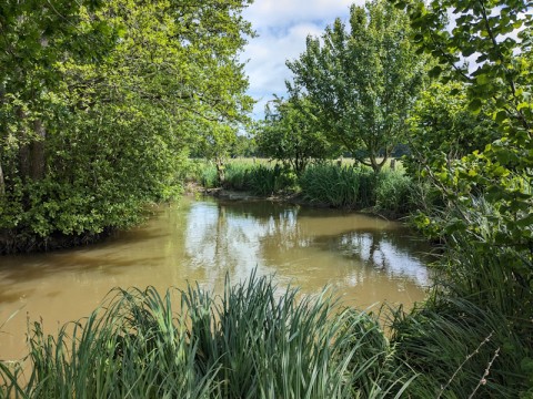 Au fil de l'orne | Marie Schneppe