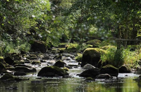 chant-des-cailloux | MNT