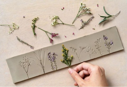 herbier_argile | bourrache et coquelicot 