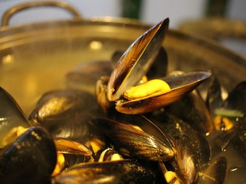 moules frites pixabay 800-600 | pixabay