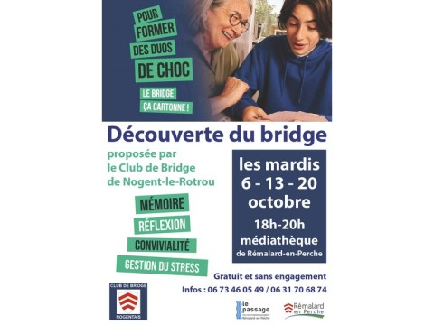 decouvertebridge-remalard-800 | ©Médiathèque Le Passage