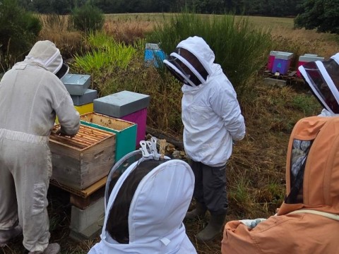 Apiculture | Les Minières