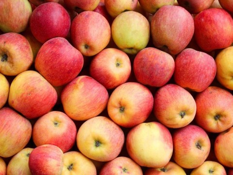pomme pixabay 800 | pixabay