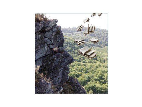 rochedoetre web | La roche en livre