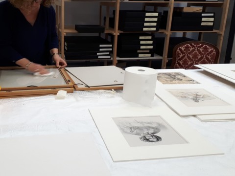 visite-reserves-3(1) | musée de Flers