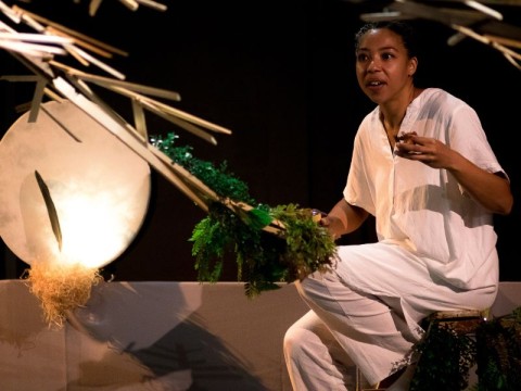 L'écho des Saisons | Clémence Belenus