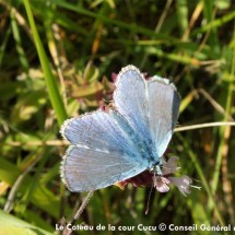 Le Coteau de la cour Cucu | © Conseil Général de l'Orne