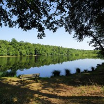 Etang de la lande forêt - Le Grais | © C Aubert Etang de la lande forêt - Le Grais | © C Aubert