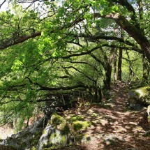 Gorges de Villiers | © CD 61