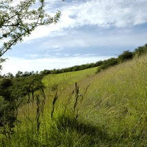 Le Coteau de la Bandonnière | Le Coteau de la Bandonnière © D.Commenchal