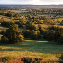 Les coteaux historiques - Coudehard | © D. Commenchal