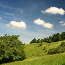 Le Coteau des Champs Genêts | Les Champs Genêts © JE Rubio