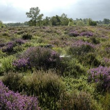 Le Vaudobin et les Gorges du Meillon | © D Commenchal