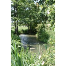Pâtures - Argentan | ©Mairie Argentan