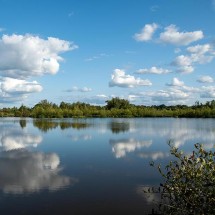 Marais du Grand Hazé | © D. Commenchal