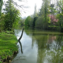 Fuie des Vignes dans l'Orne en Normandie | Fuie des Vignes dans l'Orne © Biotope