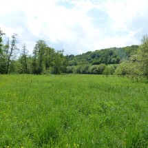 Les prairies de Campigny | © CD 61