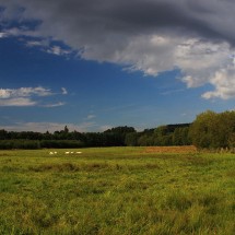 Vallée et marais de Bretoncelles dans l'Orne en Normandie | Vallée et marais de Bretoncelles © JE Rubio