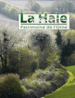 La haie, patrimoine de l'Orne ©CD61