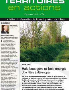 Territoires en actions n°36 - Haie bocagère et bois énergie : une filière à développer ©CD61